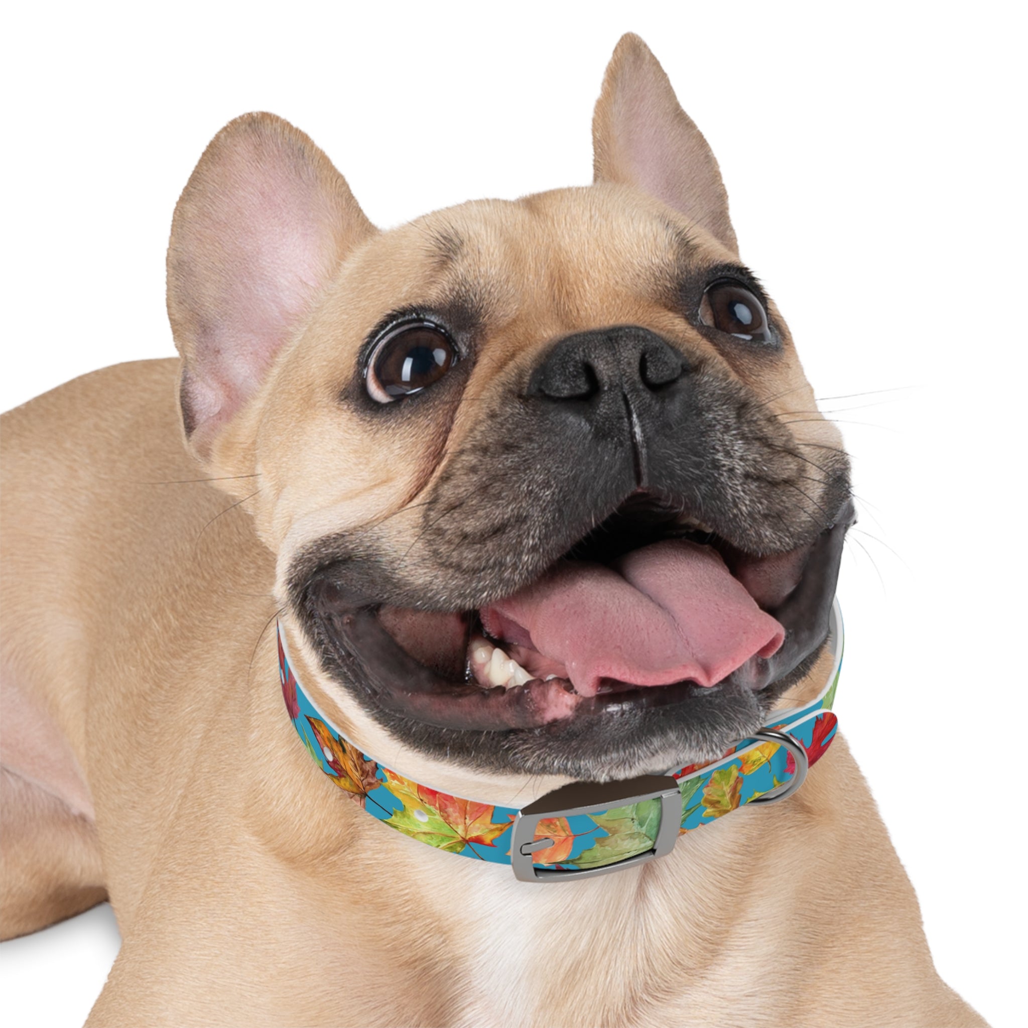 Vibrant Autumn Dog Collar | Fall Pet Accessory, Seasonal Dog Gear, Cute Dog Collars, Leaf Design, Colorful Pet Fashion