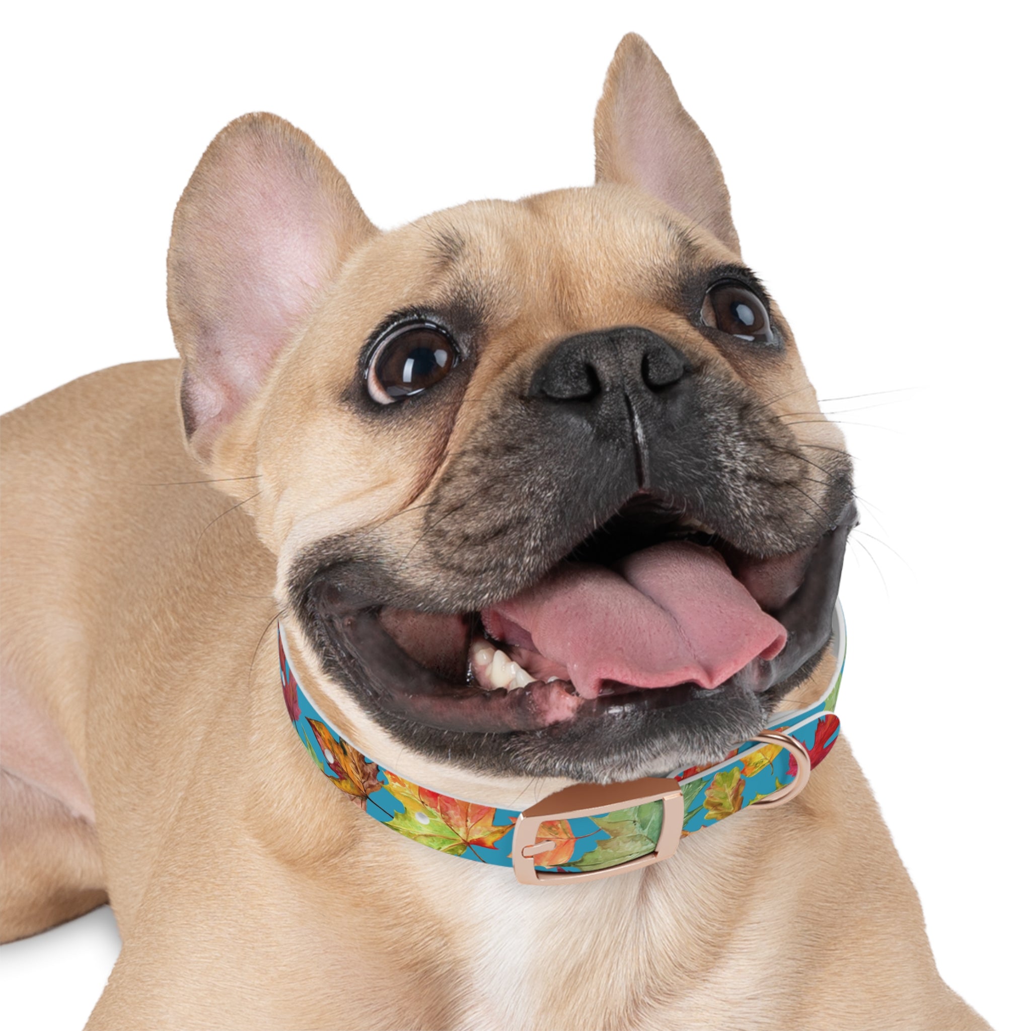 Vibrant Autumn Dog Collar | Fall Pet Accessory, Seasonal Dog Gear, Cute Dog Collars, Leaf Design, Colorful Pet Fashion