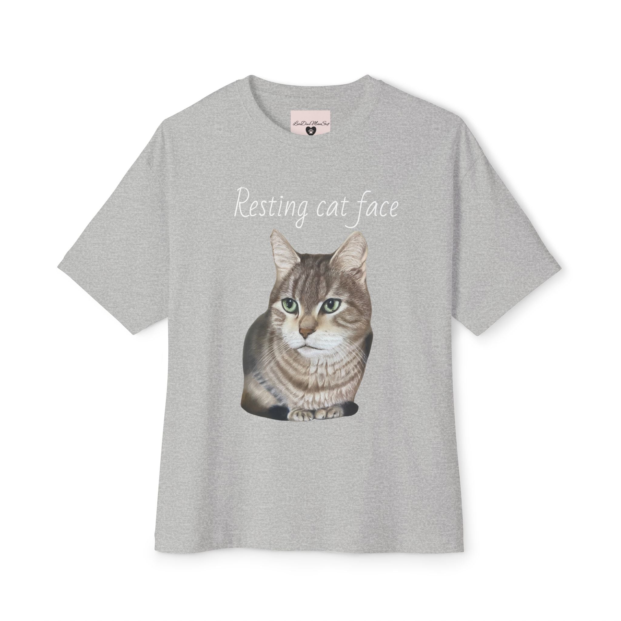 Resting Cat Face Oversized Tee, Unisex Cat Lover Shirt, Funny Pet T-Shirt, Gift for Cat Lovers, Casual Streetwear