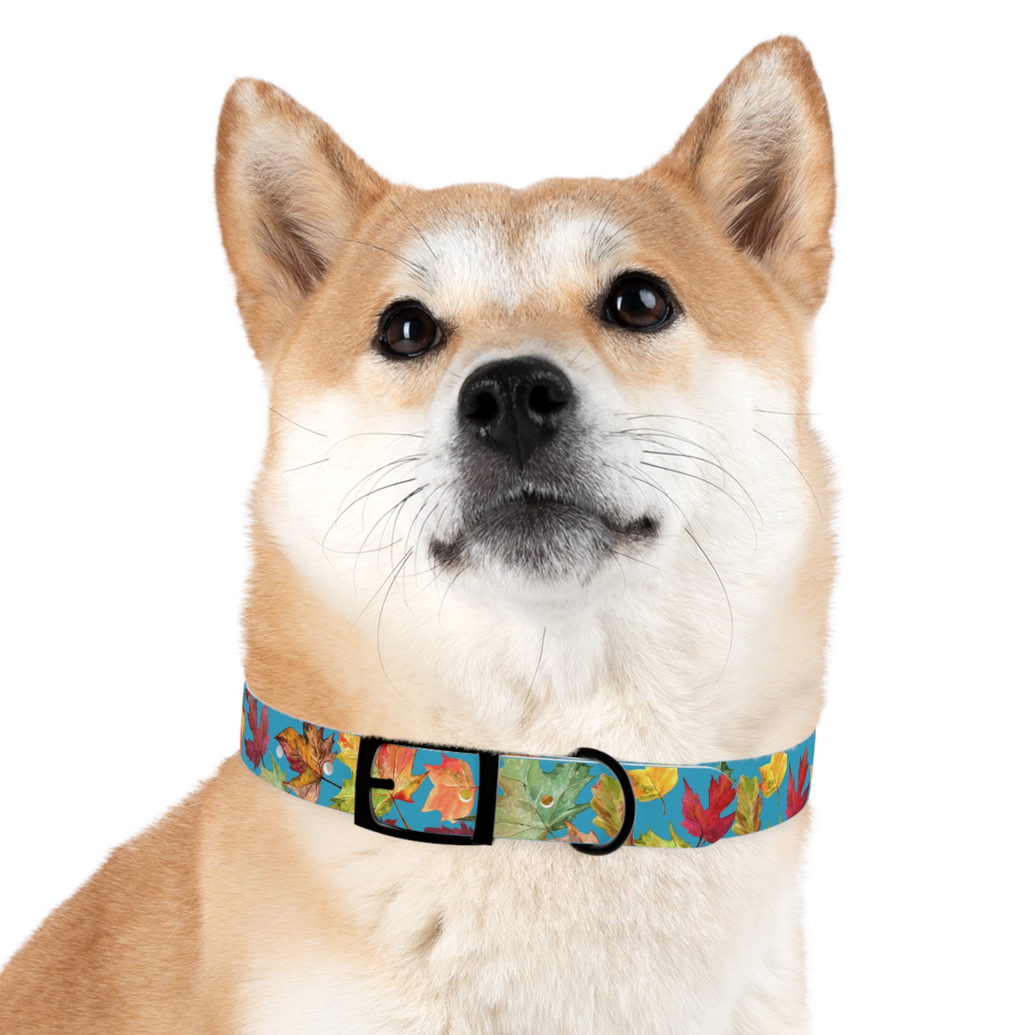 Vibrant Autumn Dog Collar | Fall Pet Accessory, Seasonal Dog Gear, Cute Dog Collars, Leaf Design, Colorful Pet Fashion