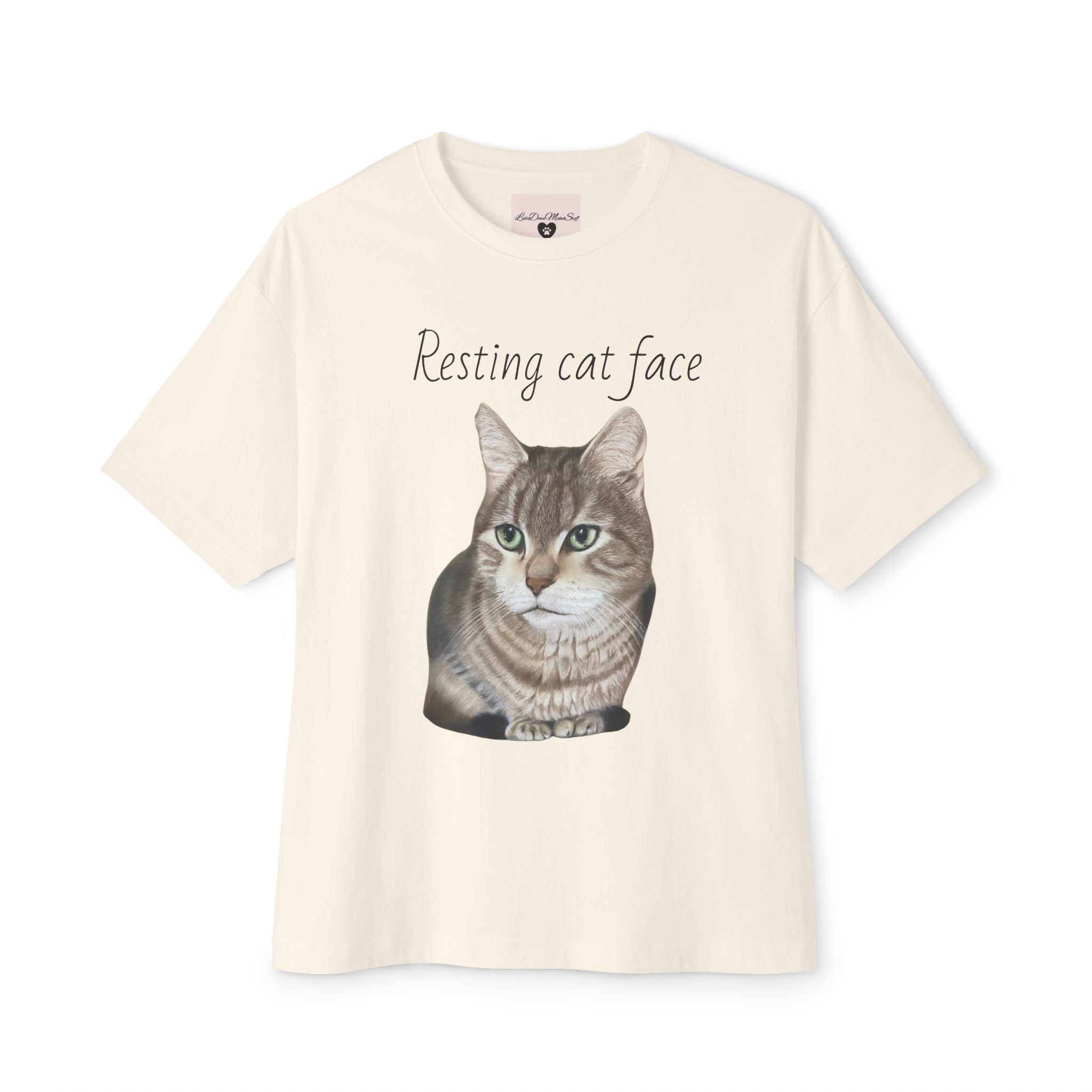 Resting Cat Face Oversized Tee, Unisex Cat Lover Shirt, Funny Pet T-Shirt, Gift for Cat Lovers, Casual Streetwear