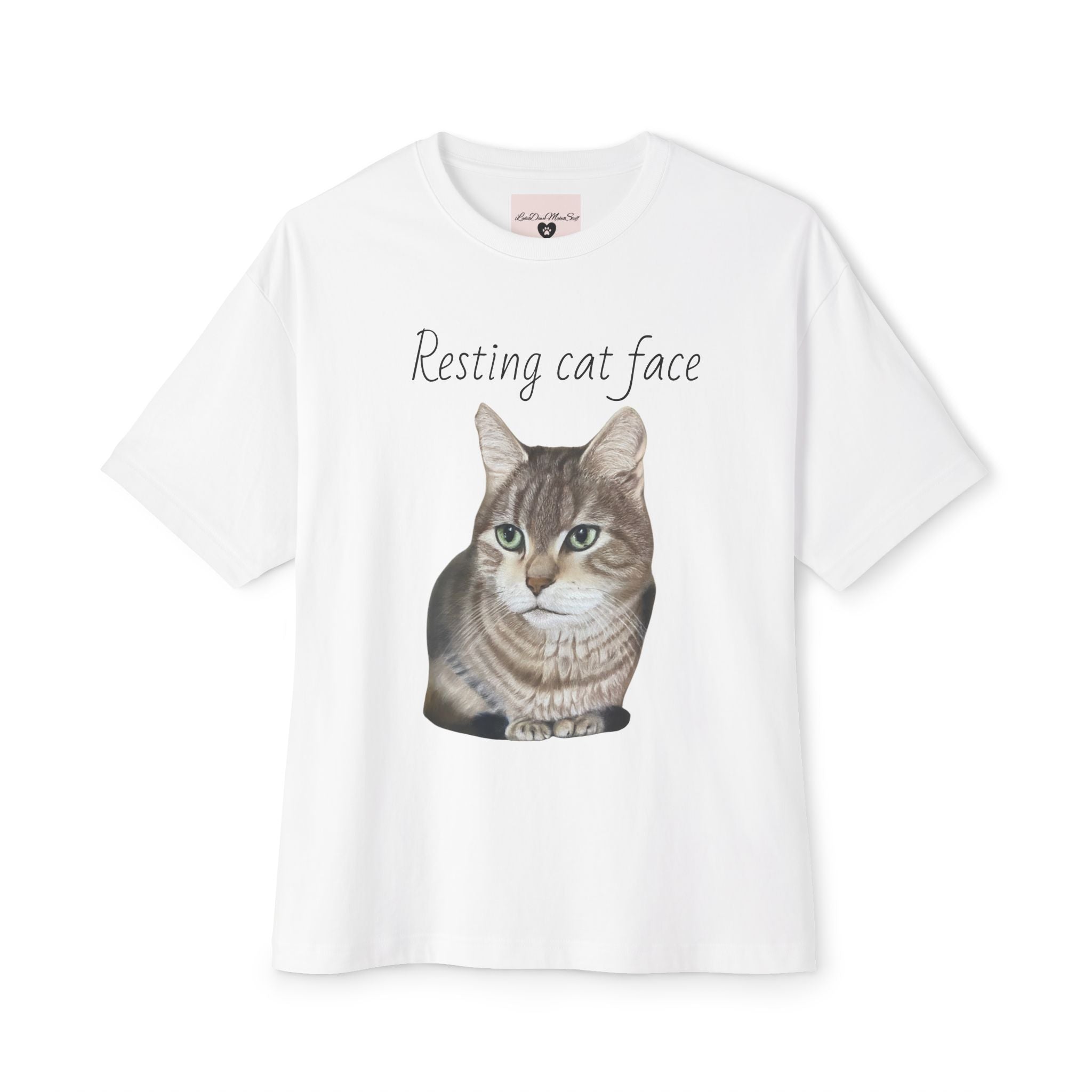 Resting Cat Face Oversized Tee, Unisex Cat Lover Shirt, Funny Pet T-Shirt, Gift for Cat Lovers, Casual Streetwear