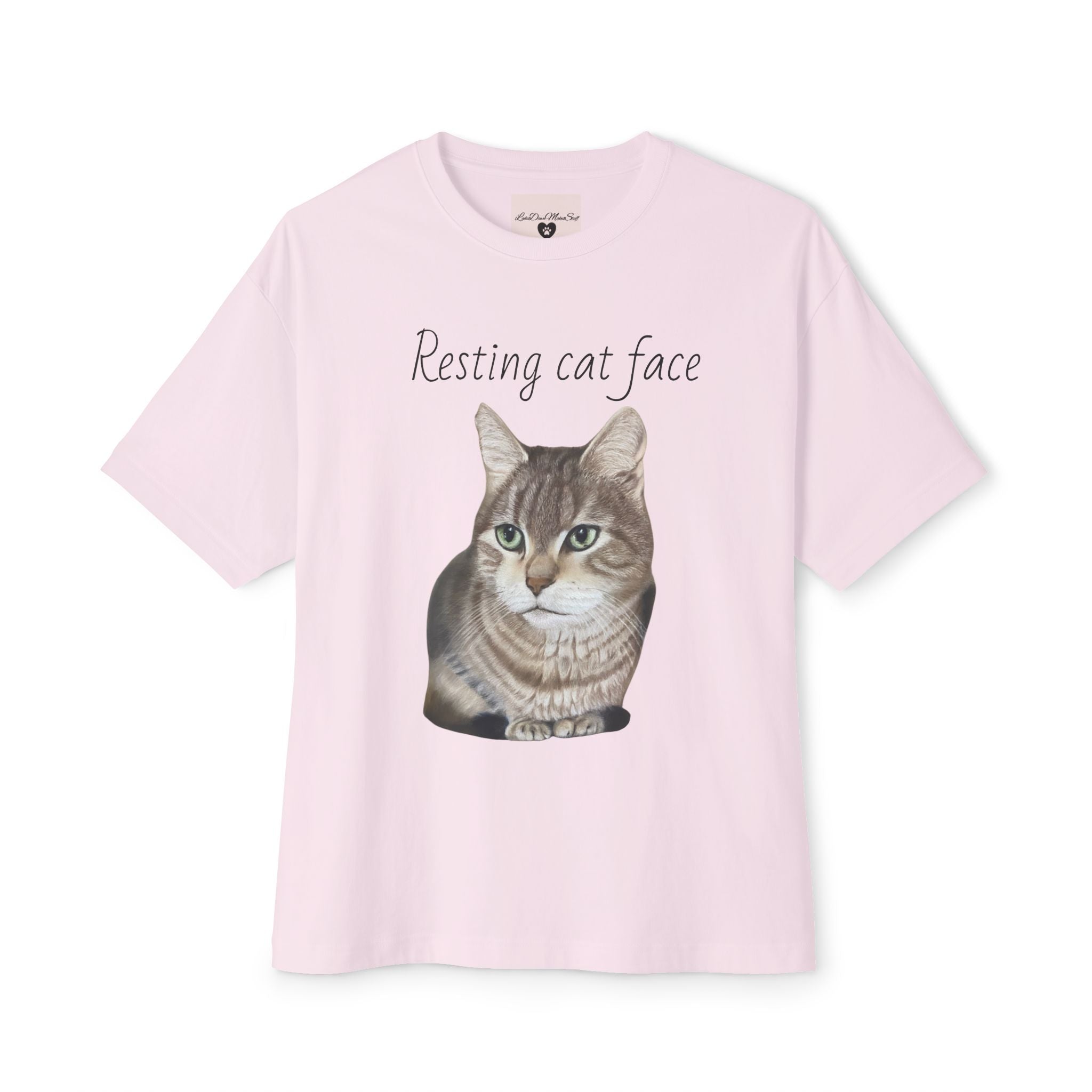 Resting Cat Face Oversized Tee, Unisex Cat Lover Shirt, Funny Pet T-Shirt, Gift for Cat Lovers, Casual Streetwear