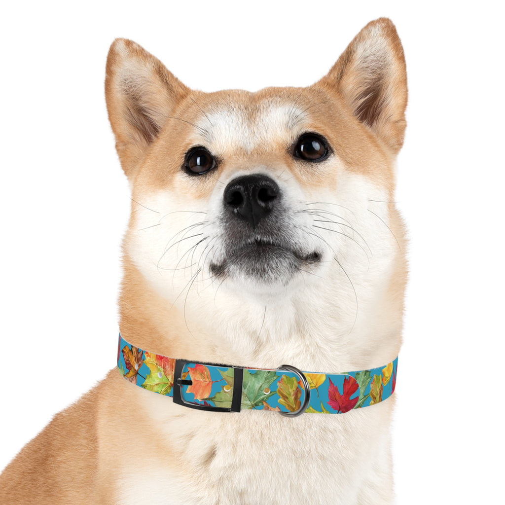 Vibrant Autumn Dog Collar | Fall Pet Accessory, Seasonal Dog Gear, Cute Dog Collars, Leaf Design, Colorful Pet Fashion