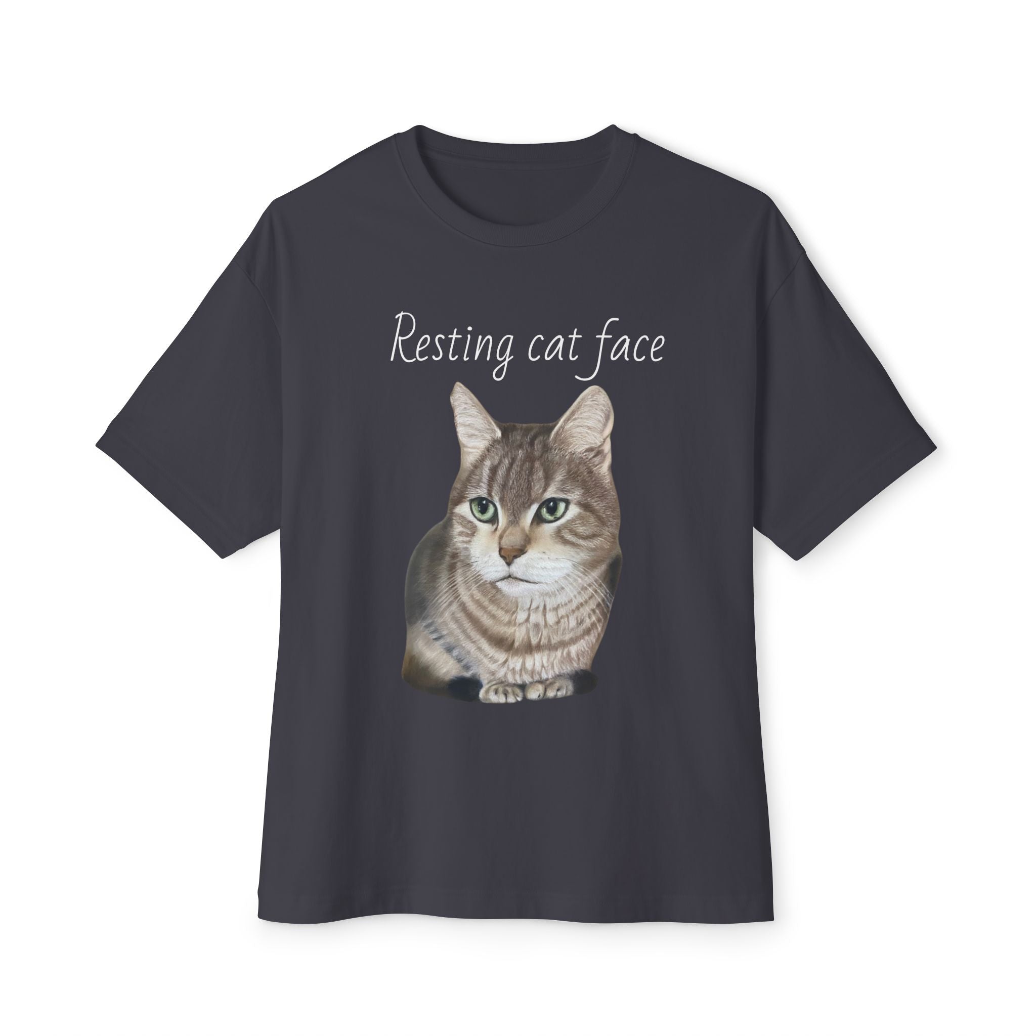 Resting Cat Face Oversized Tee, Unisex Cat Lover Shirt, Funny Pet T-Shirt, Gift for Cat Lovers, Casual Streetwear