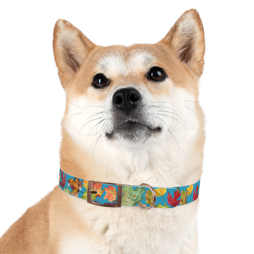Vibrant Autumn Dog Collar | Fall Pet Accessory, Seasonal Dog Gear, Cute Dog Collars, Leaf Design, Colorful Pet Fashion