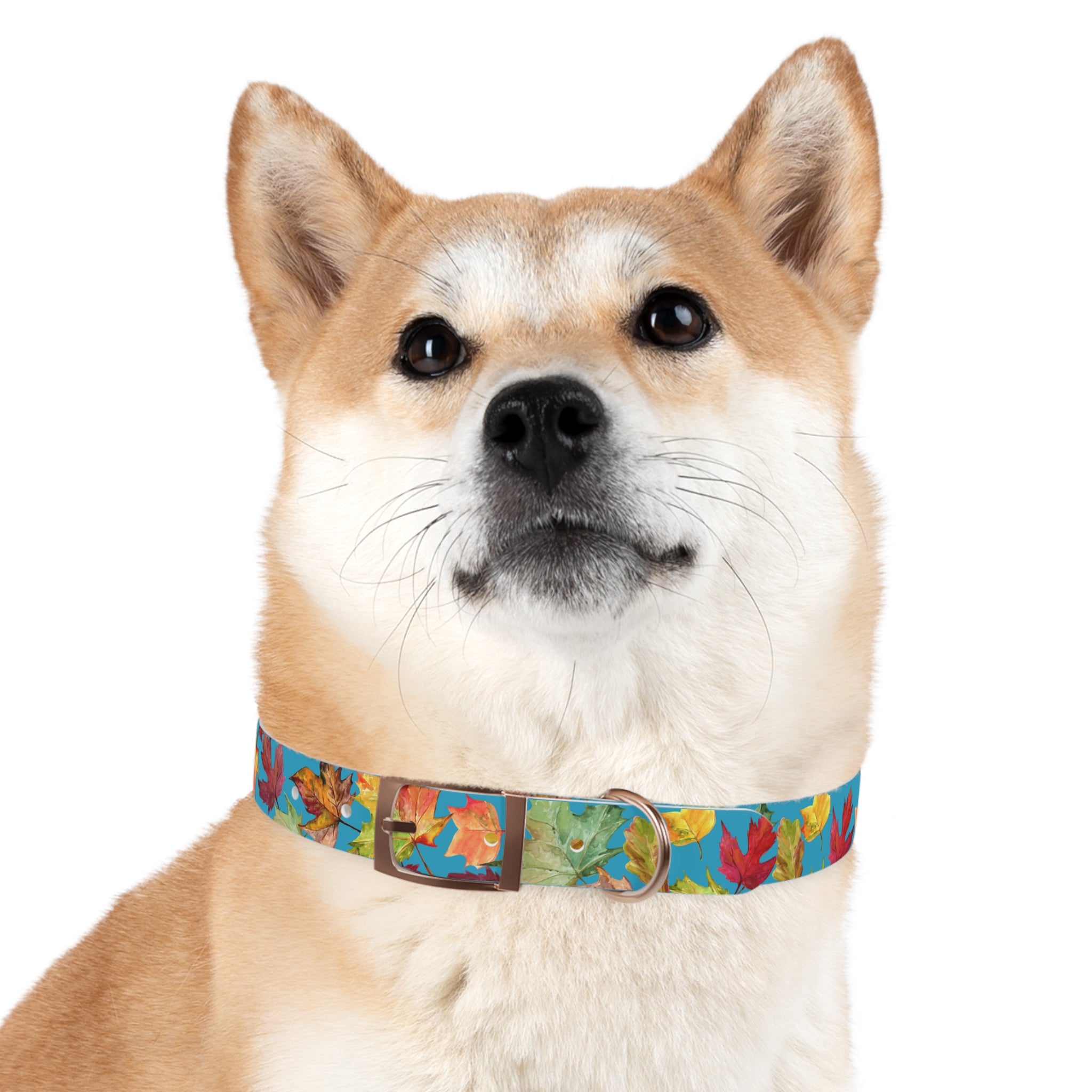 Vibrant Autumn Dog Collar | Fall Pet Accessory, Seasonal Dog Gear, Cute Dog Collars, Leaf Design, Colorful Pet Fashion