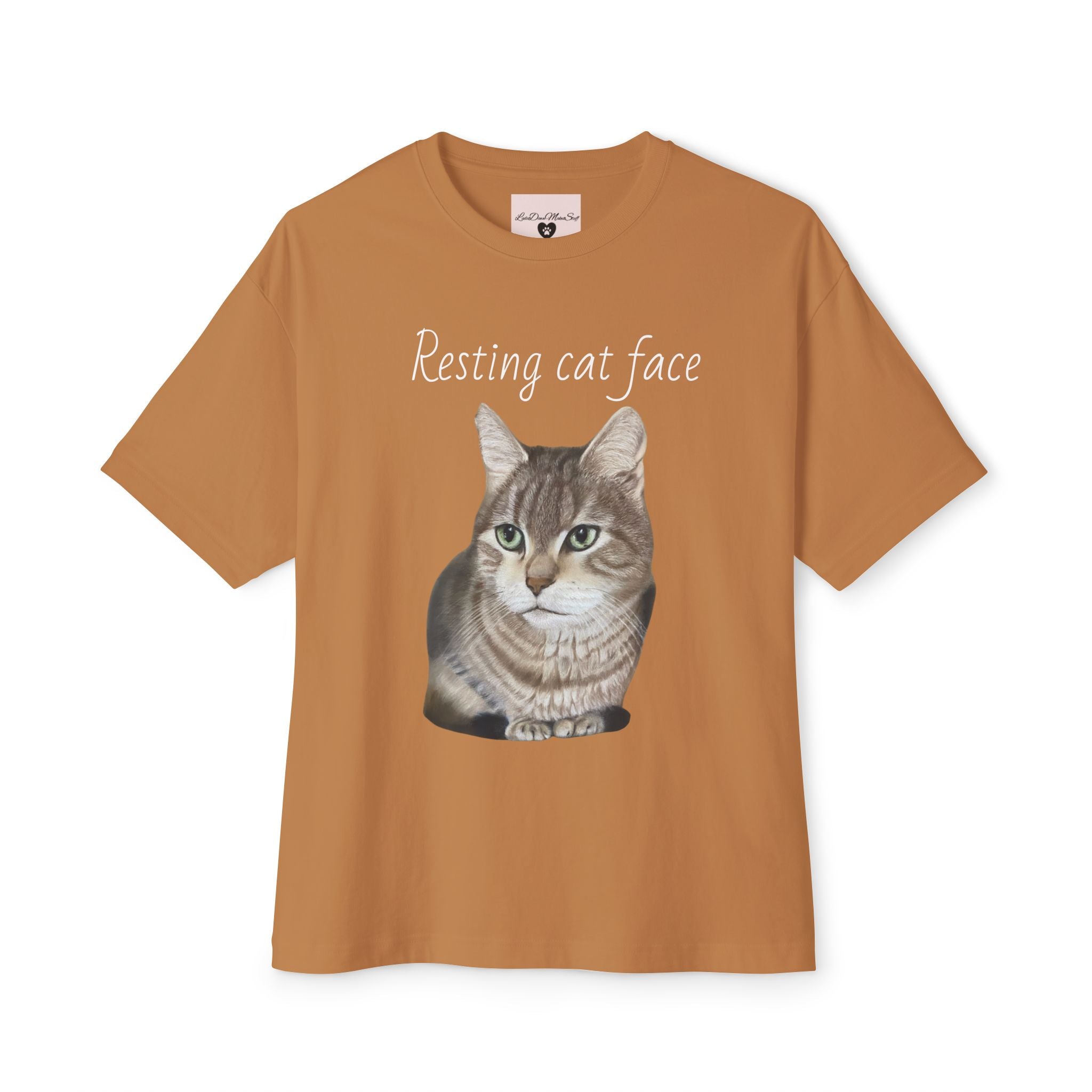 Resting Cat Face Oversized Tee, Unisex Cat Lover Shirt, Funny Pet T-Shirt, Gift for Cat Lovers, Casual Streetwear