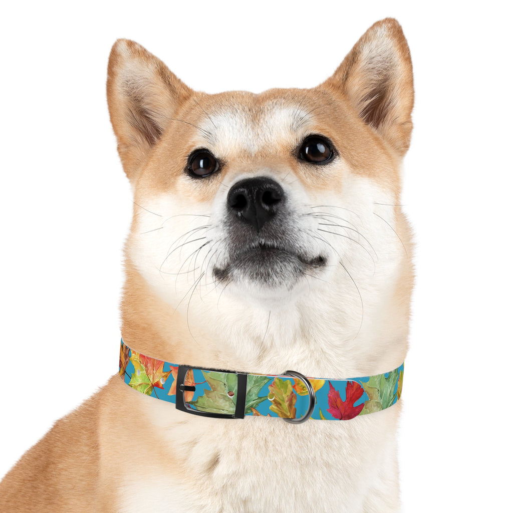 Vibrant Autumn Dog Collar | Fall Pet Accessory, Seasonal Dog Gear, Cute Dog Collars, Leaf Design, Colorful Pet Fashion