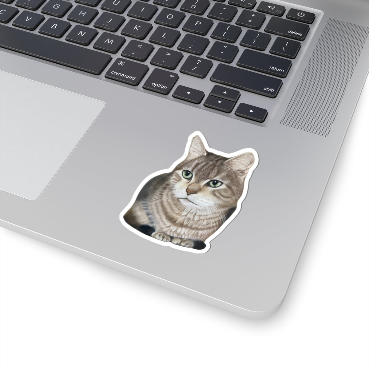 Adorable Cat Kiss-Cut Stickers | Perfect for Cat Lovers, Laptop Decor, Journal Accents, Gift Ideas, Pet Memorials, Bengal Cat Owners