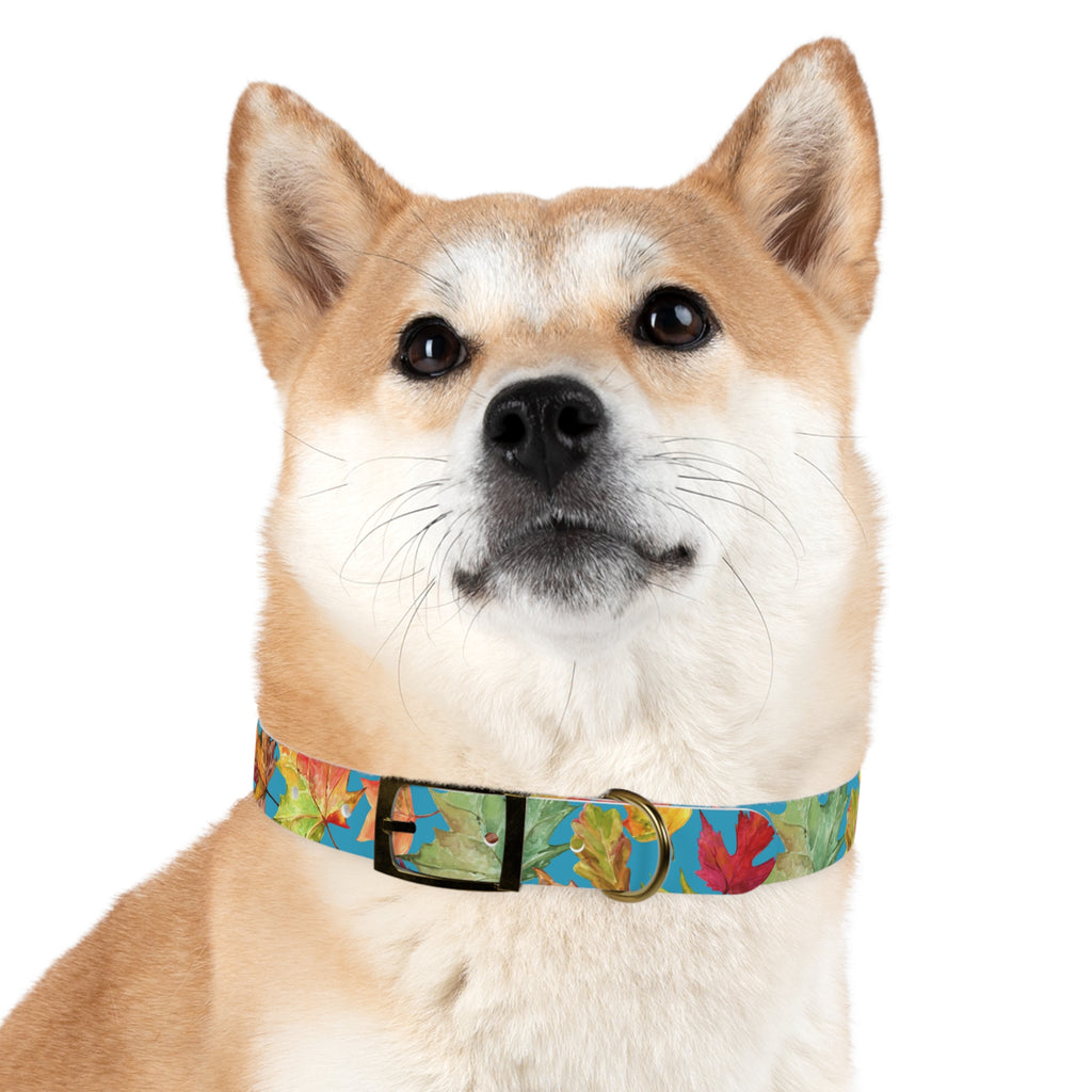 Vibrant Autumn Dog Collar | Fall Pet Accessory, Seasonal Dog Gear, Cute Dog Collars, Leaf Design, Colorful Pet Fashion