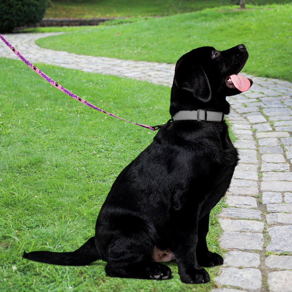 Personalized Pet Leash