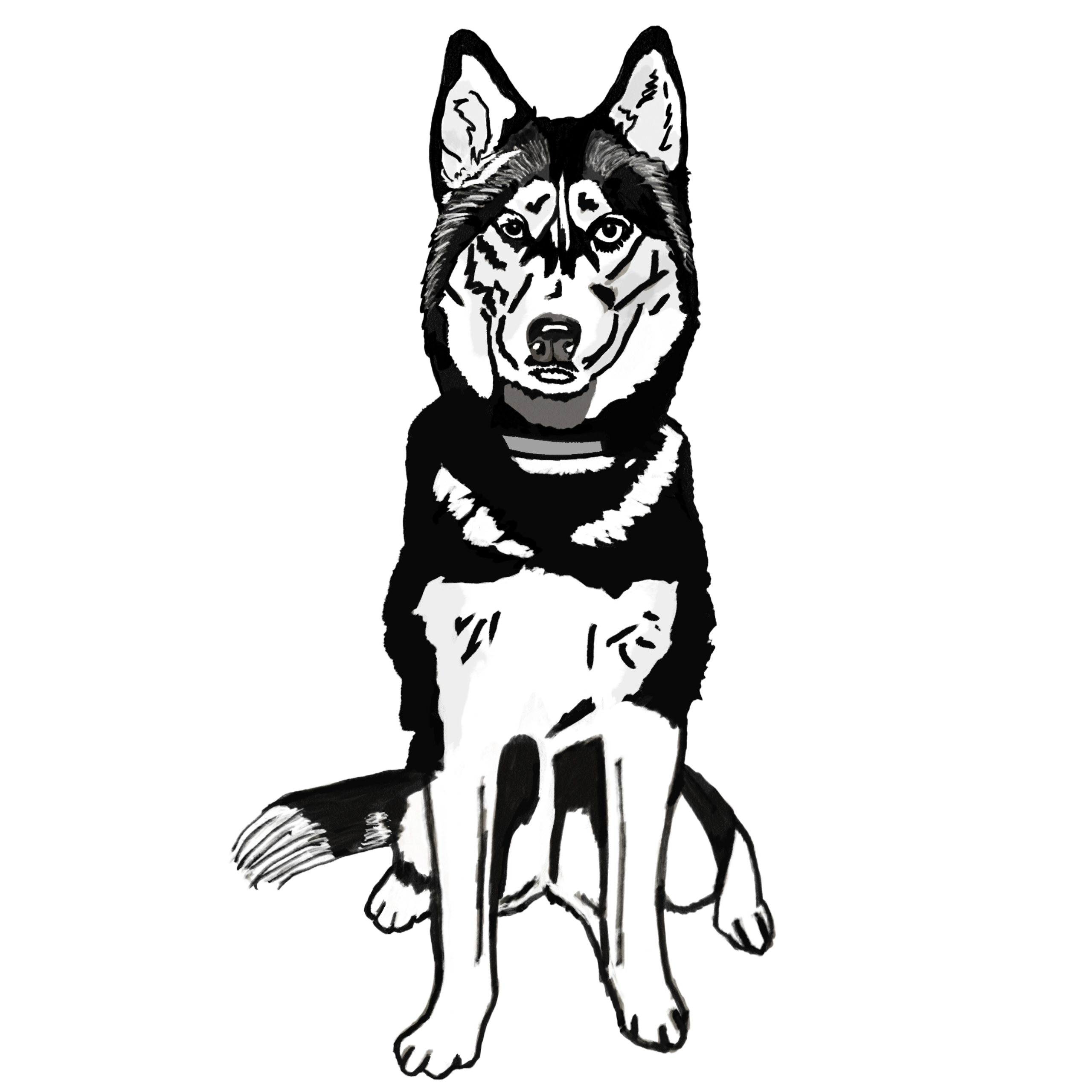 Cara the Husky Magnet